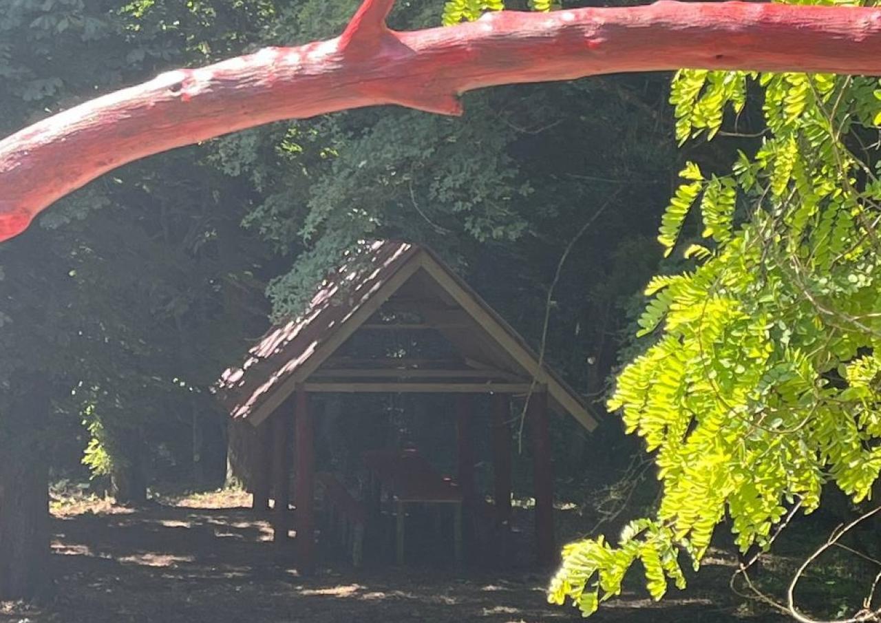 зона пікніку